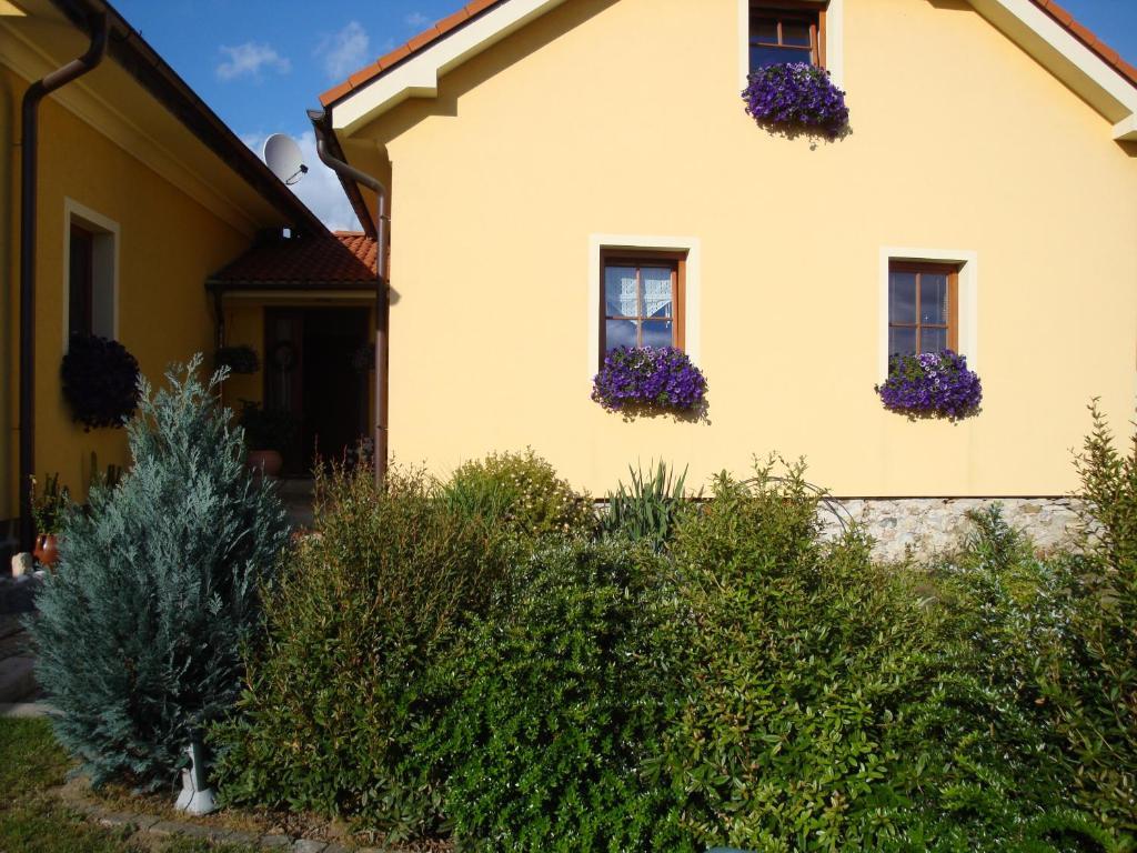 Apartman Augsten Чески-Крумлов Экстерьер фото